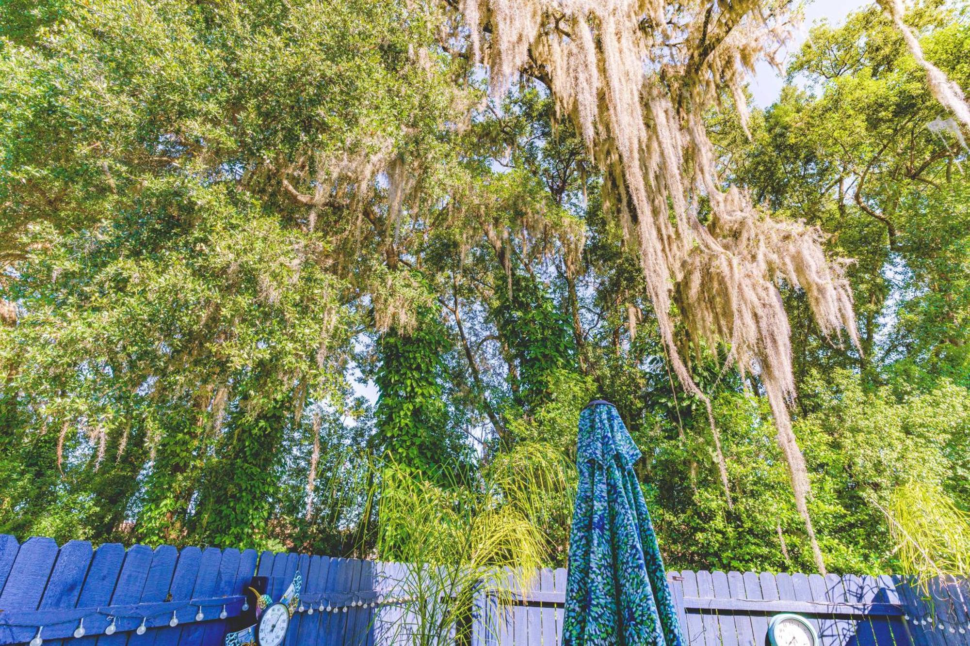 The Estate At Mt Dora Hotel Маунт Дора Екстериор снимка